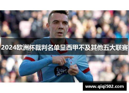 2024欧洲杯裁判名单显西甲不及其他五大联赛