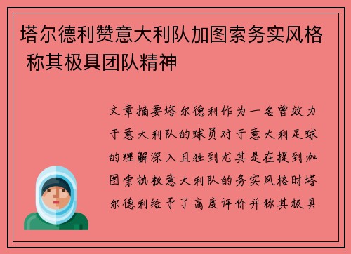 塔尔德利赞意大利队加图索务实风格 称其极具团队精神